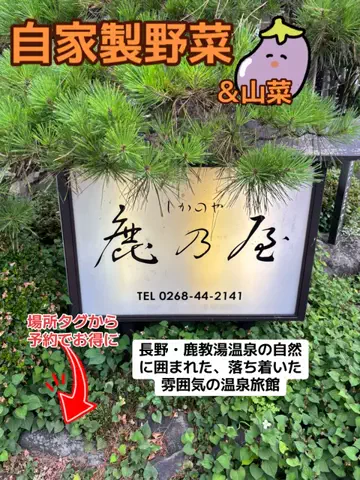 おとけしきのTikTok投稿