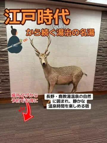おとけしきのTikTok投稿