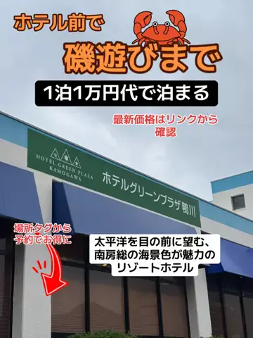 おとけしきのTikTok投稿