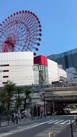けいんのすけ【プリンと大阪グルメ】のTikTok投稿