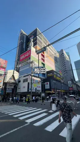 けいんのすけ【プリンと大阪グルメ】のTikTok投稿