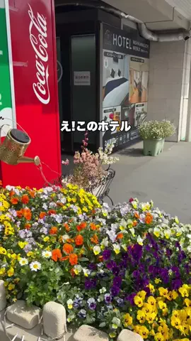 なお｜ホテル選び、少しラクにのTikTok投稿