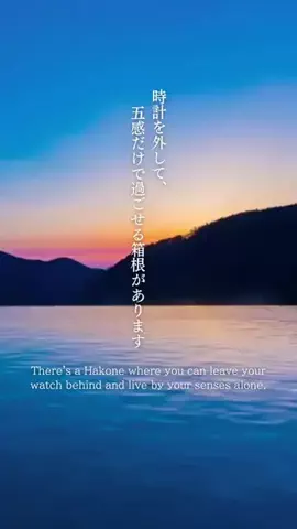 DJ♨️Onsen￤大人の温泉宿のTikTok投稿