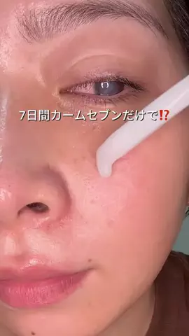 ビザちゃんのTikTok投稿