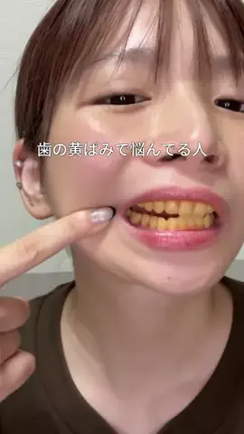 ビザちゃんのTikTok投稿