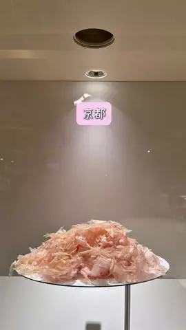 kyoto_withqooのTikTok投稿