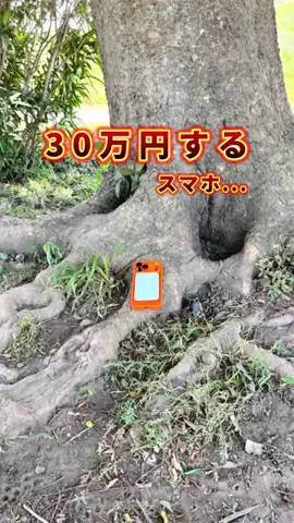 COCO | 暮らしを彩るアイデア🌿のTikTok投稿