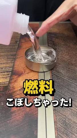フラミン子のTikTok投稿