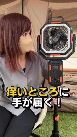 フラミン子のTikTok投稿