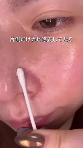 ビザちゃんのTikTok投稿