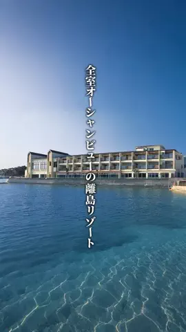 ココロ旅人のTikTok投稿