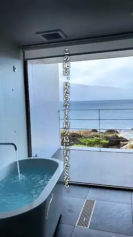 ココロ旅人のTikTok投稿