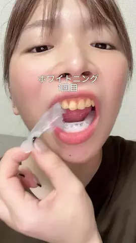 ビザちゃんのTikTok投稿