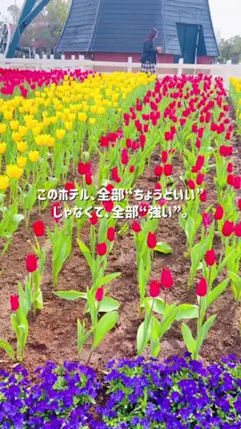kaori.fjt | 東北の今を彩る風景発信のTikTok投稿