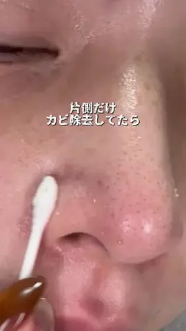 ビザちゃんのTikTok投稿