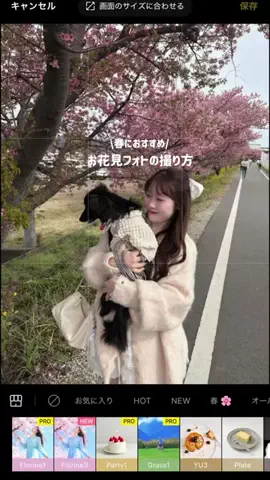 芋女のTikTok投稿