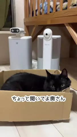 きんむぎのTikTok投稿