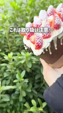 グルメ旅🐼ぱんだのTikTok投稿