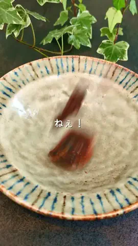 しほ┃ごきげん乾杯レシピのTikTok投稿
