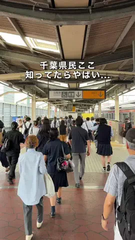 千葉県お出かけスポット🚗💨すずのTikTok投稿