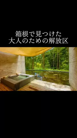 yadozukan_officialのTikTok投稿