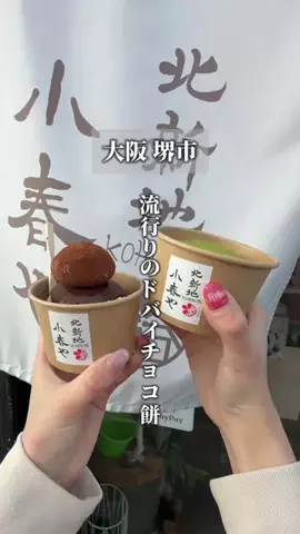 南大阪グルメくんのTikTok投稿