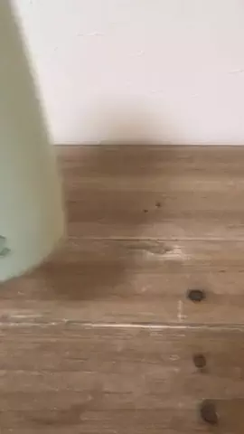 moe_akanukeのTikTok PR投稿：#PR #タンブラー 