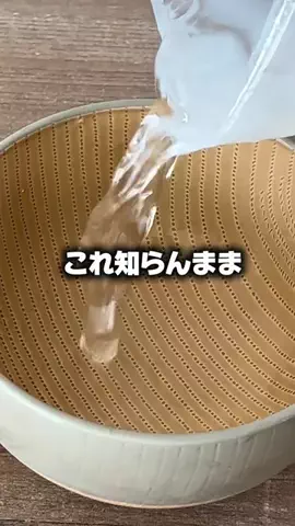 もえのTikTok投稿