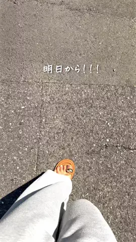 さとこのTikTok投稿