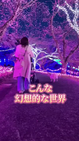 すて家のTikTok投稿