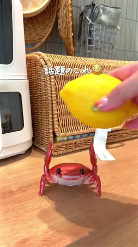 さとこのTikTok投稿