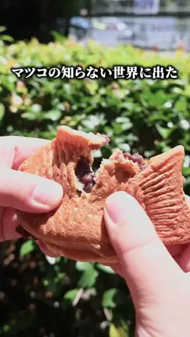 たまめし｜埼玉穴場グルメのTikTok投稿