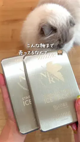 さとこのTikTok投稿