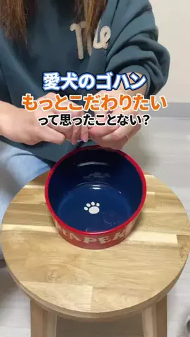 すて家のTikTok投稿