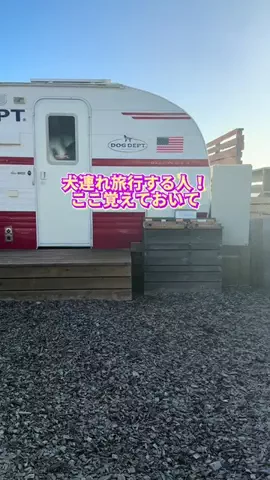 群馬発すー旅⌇旅と暮らしのTikTok投稿