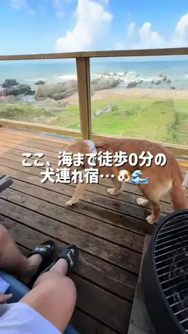 群馬発すー旅⌇旅と暮らしのTikTok投稿