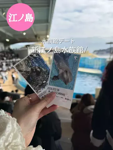 群馬発すー旅⌇旅と暮らしのTikTok投稿