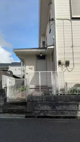 イカとイクラのTikTok投稿