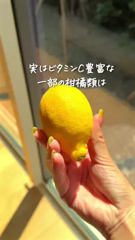 さとこのTikTok投稿