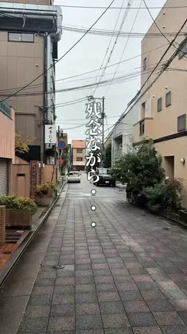 神戸グルメまひろのTikTok投稿