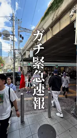 神戸グルメまひろのTikTok投稿