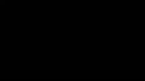 アルミンのTikTok投稿