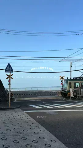 マイタビ / JAPAN TRIPのTikTok投稿
