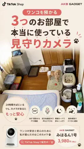 🐾 ボルゾイと保護っ子たちの日常｜ワンコ亭のTikTok投稿