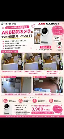 🐾 ボルゾイと保護っ子たちの日常｜ワンコ亭のTikTok投稿