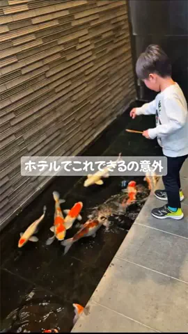 🥚たまごちゃん🥚のTikTok投稿