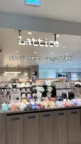 コバセブンのTikTok投稿