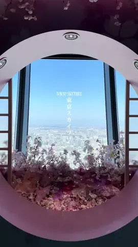 マイタビ / JAPAN TRIPのTikTok投稿