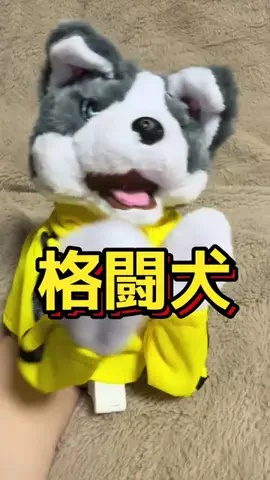 🍋remon🍋🏍️coelacanthのTikTok投稿