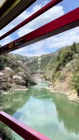 マイタビ / JAPAN TRIPのTikTok投稿